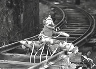 Sock Monkey
